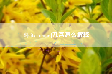 吴忠九宫怎么解释