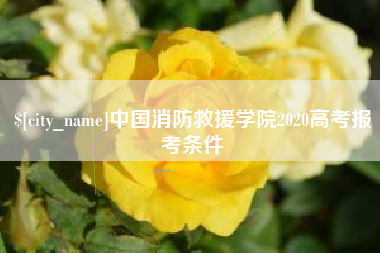 吴忠中国消防救援学院2020高考报考条件