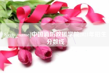 吴忠中国消防救援学院2021年招生分数线