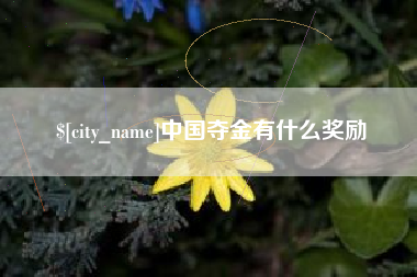 吴忠中国夺金有什么奖励