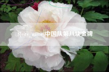 吴忠中国队第八块金牌