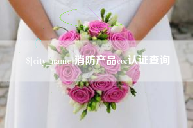 吴忠消防产品ccc认证查询