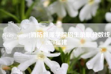 吴忠消防救援学院招生录取分数线2020福建