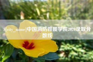吴忠中国消防救援学院2021录取分数线