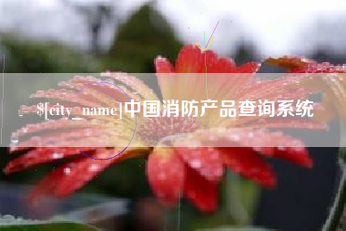 吴忠中国消防产品查询系统