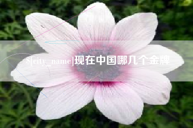 吴忠现在中国哪几个金牌