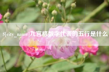 吴忠九宫格数字代表的五行是什么