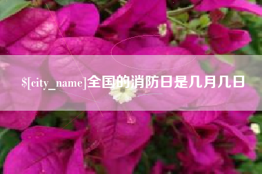 吴忠全国的消防日是几月几日