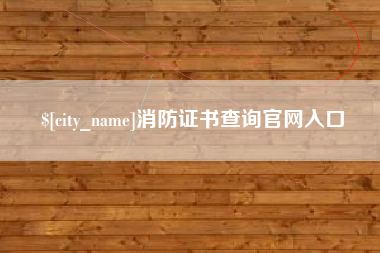 吴忠消防证书查询官网入口