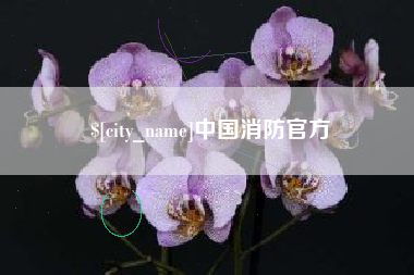 吴忠中国消防官方