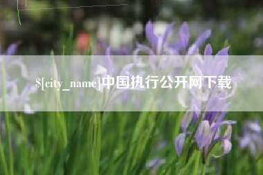 吴忠中国执行公开网下载