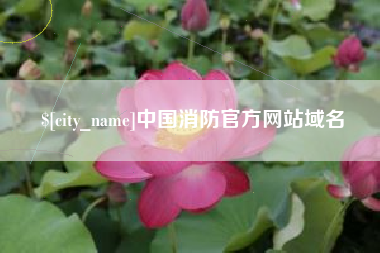 吴忠中国消防官方网站域名