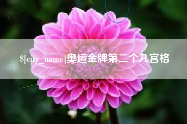 吴忠奥运金牌第二个九宫格