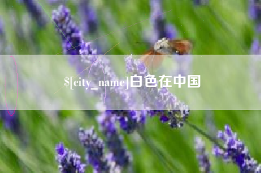 吴忠白色在中国