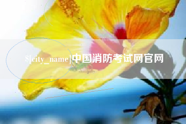 吴忠中国消防考试网官网
