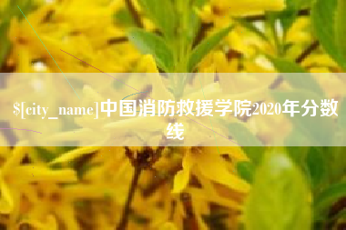 吴忠中国消防救援学院2020年分数线