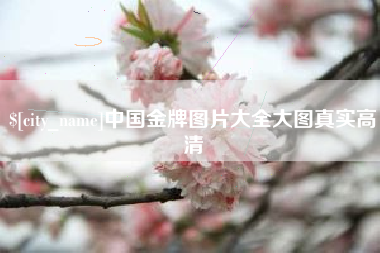吴忠中国金牌图片大全大图真实高清