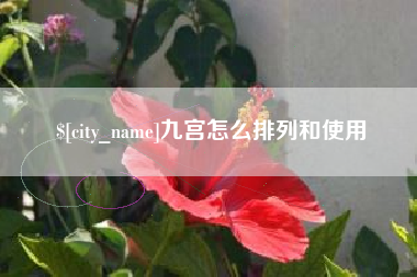 吴忠九宫怎么排列和使用