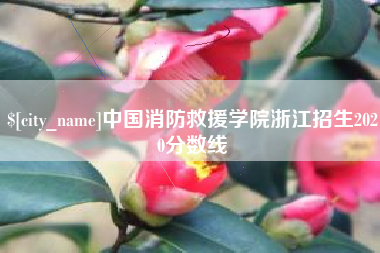吴忠中国消防救援学院浙江招生2020分数线
