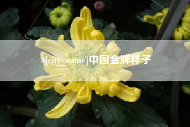 吴忠中国金牌样子