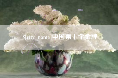 吴忠中国第十个金牌