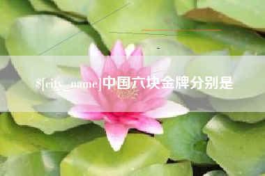 吴忠中国六块金牌分别是