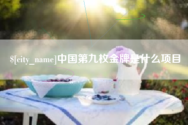 吴忠中国第九枚金牌是什么项目
