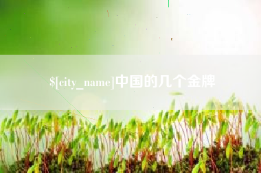 吴忠中国的几个金牌