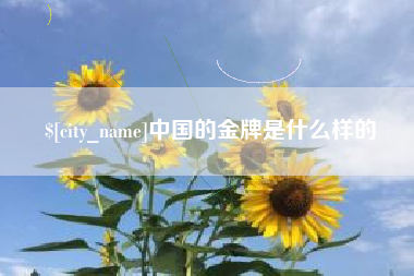 吴忠中国的金牌是什么样的