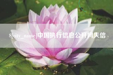 吴忠中国执行信息公开网失信