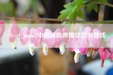 吴忠中国消防救援学院分数线