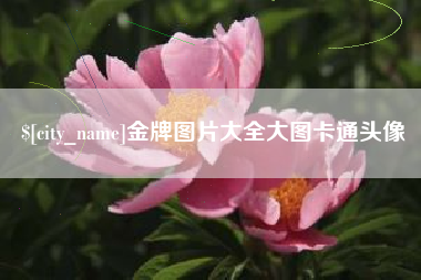 吴忠金牌图片大全大图卡通头像