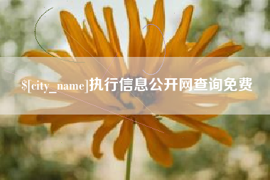 吴忠执行信息公开网查询免费